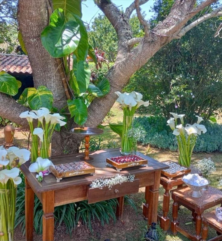 Ambiente acolhedor do Chalé Íris em meio à natureza