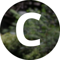 Depoimento da cliente Carla Ferreira