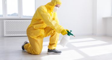 Serviço de Sanitização de Ambientes - Solution Ambiental