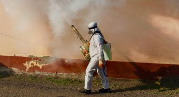 Controle Integrado de Pragas - Solution Ambiental